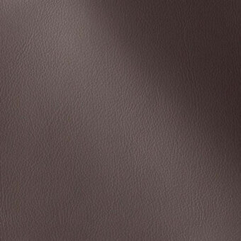 500234 - EBONY
